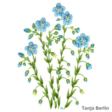 Blue Flax Needle Painting