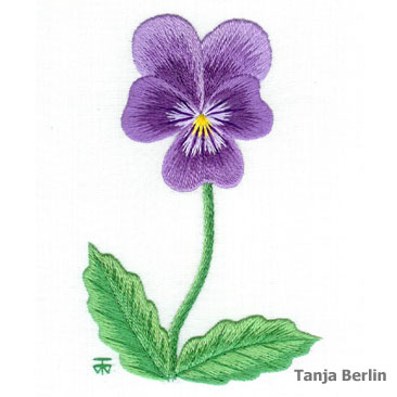 pansy-purple-tanja-berlin1