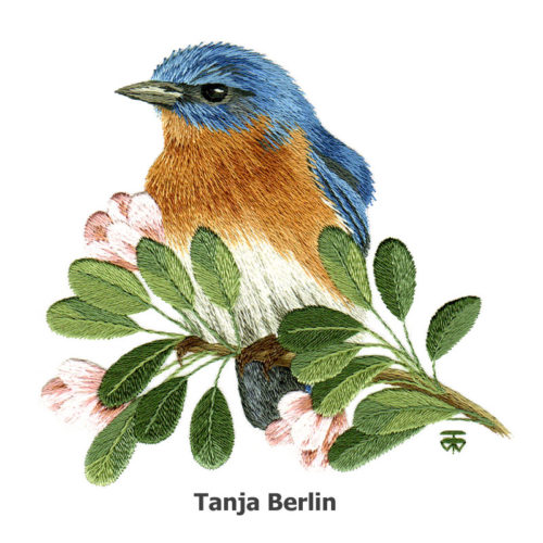 Blue Bird on Blossom Branch