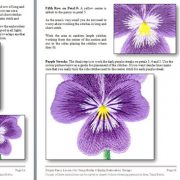 Needle Painting Purple Icicle Pansy - Berlin Embroidery Designs