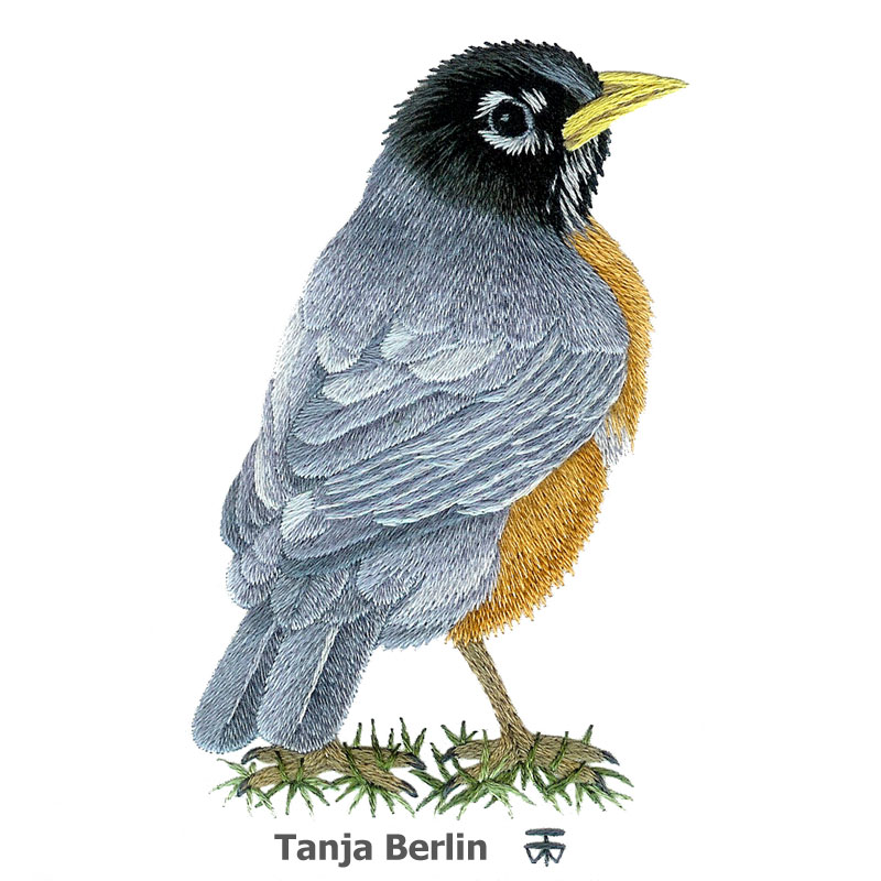 Download Needle Painting Robin in Grass - Berlin Embroidery Designs