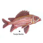 Shadow Work Squirrel Fish Kit