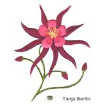Tropical Flower